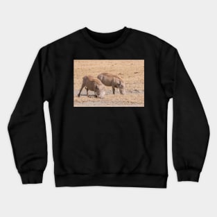 A pair of Warthog grazing in the Ngorogoro Crater Crewneck Sweatshirt